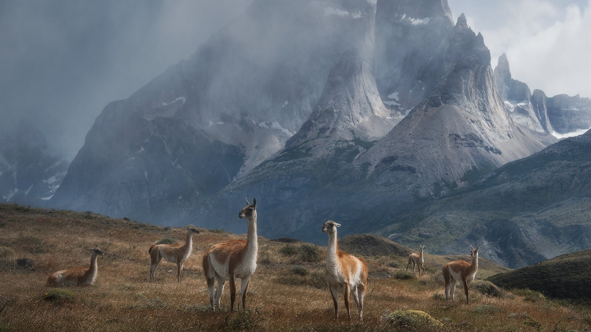爱游戏娱乐平台-_专业运动员谈:训练中的最大挑战与突破_,运动员通过训练不断提高的竞技能力