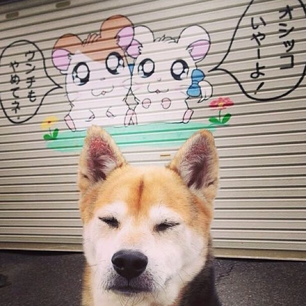 爱游戏登录入口-中国青少年篮球产业联盟成立，推动产业链融合发展，青少年篮球联赛